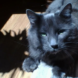 Meet your Posher, Isabella